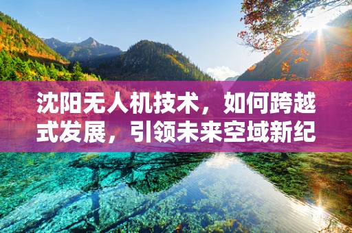 沈阳无人机技术，如何跨越式发展，引领未来空域新纪元？