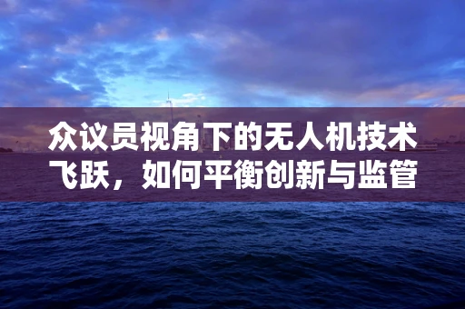 众议员视角下的无人机技术飞跃，如何平衡创新与监管？