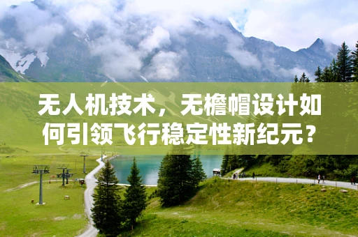 无人机技术，无檐帽设计如何引领飞行稳定性新纪元？