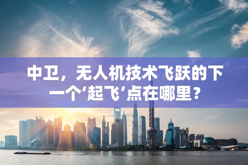 中卫，无人机技术飞跃的下一个‘起飞’点在哪里？
