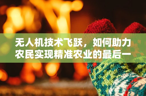 无人机技术飞跃，如何助力农民实现精准农业的最后一公里？