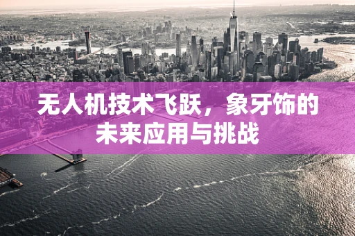 无人机技术飞跃，象牙饰的未来应用与挑战