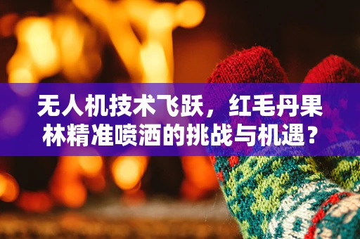 无人机技术飞跃，红毛丹果林精准喷洒的挑战与机遇？