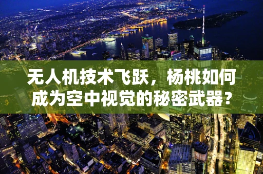 无人机技术飞跃，杨桃如何成为空中视觉的秘密武器？