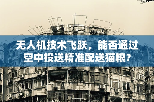 无人机技术飞跃，能否通过空中投送精准配送猫粮？