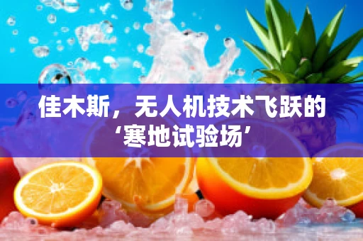 佳木斯，无人机技术飞跃的‘寒地试验场’