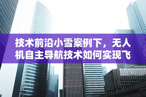 技术前沿小雪案例下，无人机自主导航技术如何实现飞跃？