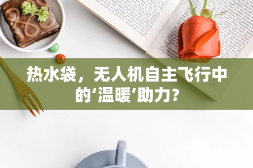 热水袋，无人机自主飞行中的‘温暖’助力？