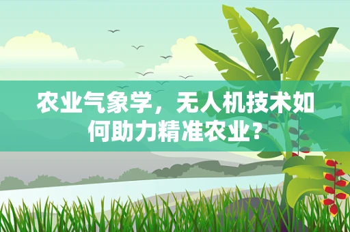 农业气象学，无人机技术如何助力精准农业？