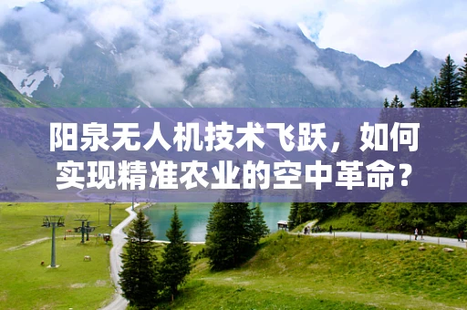 阳泉无人机技术飞跃，如何实现精准农业的空中革命？