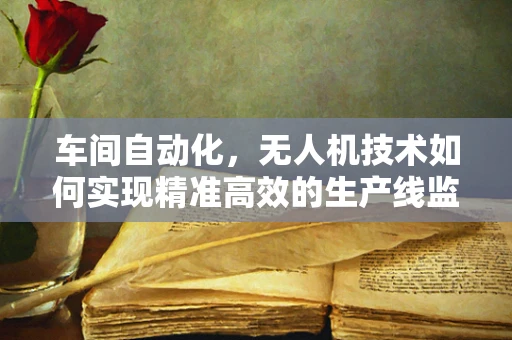 车间自动化，无人机技术如何实现精准高效的生产线监控？
