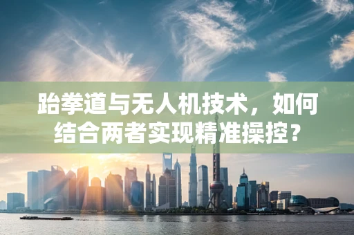 跆拳道与无人机技术，如何结合两者实现精准操控？