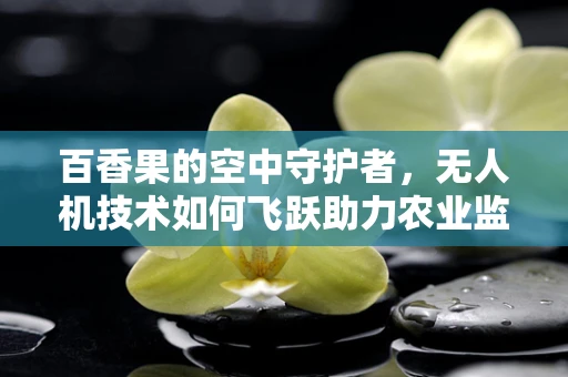 百香果的空中守护者，无人机技术如何飞跃助力农业监测？