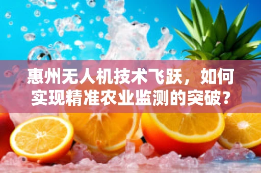 惠州无人机技术飞跃，如何实现精准农业监测的突破？