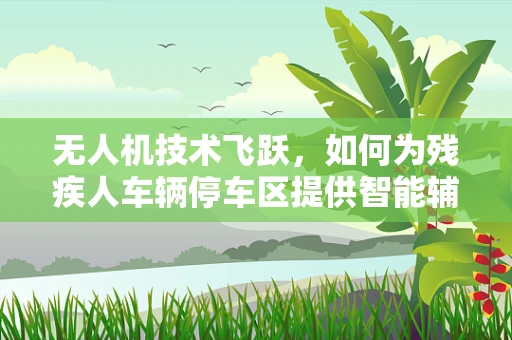 无人机技术飞跃，如何为残疾人车辆停车区提供智能辅助？
