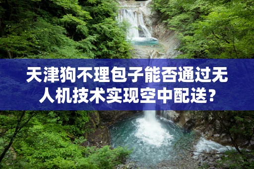 天津狗不理包子能否通过无人机技术实现空中配送？