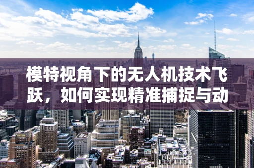 模特视角下的无人机技术飞跃，如何实现精准捕捉与动态追踪？
