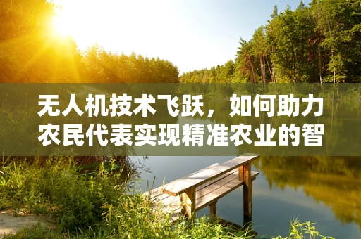无人机技术飞跃，如何助力农民代表实现精准农业的智慧之变？