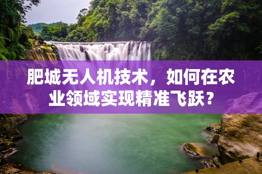 肥城无人机技术，如何在农业领域实现精准飞跃？