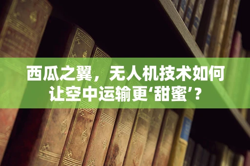 西瓜之翼，无人机技术如何让空中运输更‘甜蜜’？