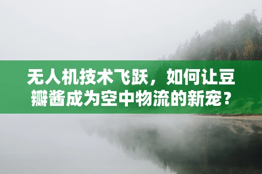 无人机技术飞跃，如何让豆瓣酱成为空中物流的新宠？