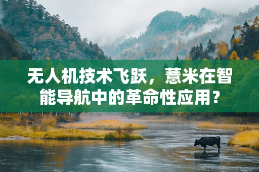 无人机技术飞跃，薏米在智能导航中的革命性应用？