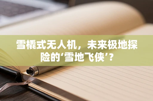 雪橇式无人机，未来极地探险的‘雪地飞侠’？