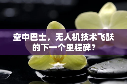 空中巴士，无人机技术飞跃的下一个里程碑？
