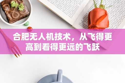 合肥无人机技术，从飞得更高到看得更远的飞跃