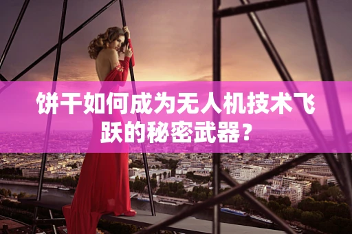 饼干如何成为无人机技术飞跃的秘密武器？