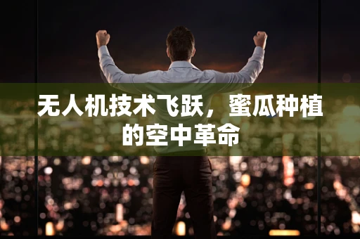 无人机技术飞跃，蜜瓜种植的空中革命
