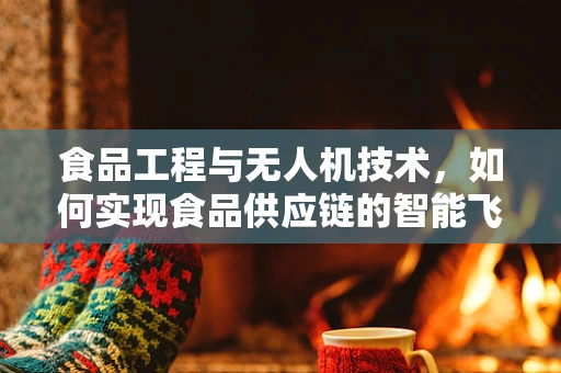 食品工程与无人机技术，如何实现食品供应链的智能飞跃？