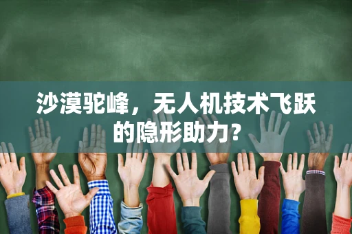 沙漠驼峰，无人机技术飞跃的隐形助力？