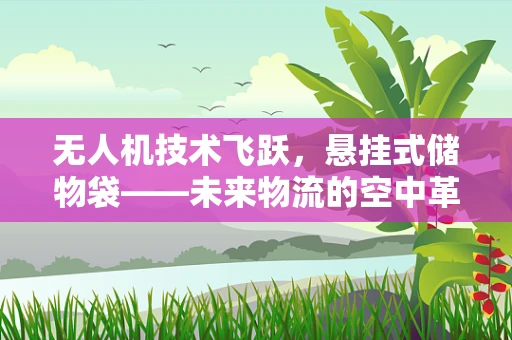 无人机技术飞跃，悬挂式储物袋——未来物流的空中革命？