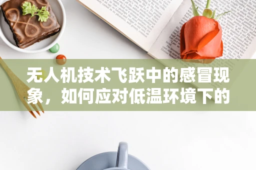 无人机技术飞跃中的感冒现象，如何应对低温环境下的飞行挑战？