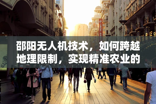 邵阳无人机技术，如何跨越地理限制，实现精准农业的飞跃？