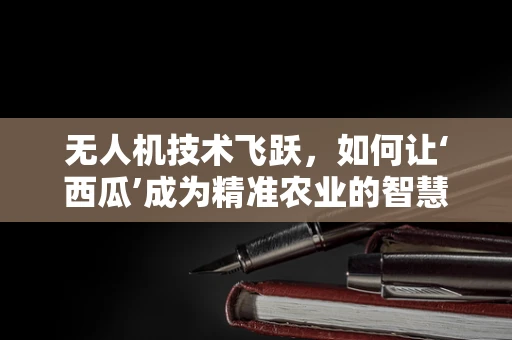 无人机技术飞跃，如何让‘西瓜’成为精准农业的智慧果实？