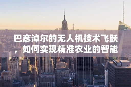 巴彦淖尔的无人机技术飞跃，如何实现精准农业的智能监测？