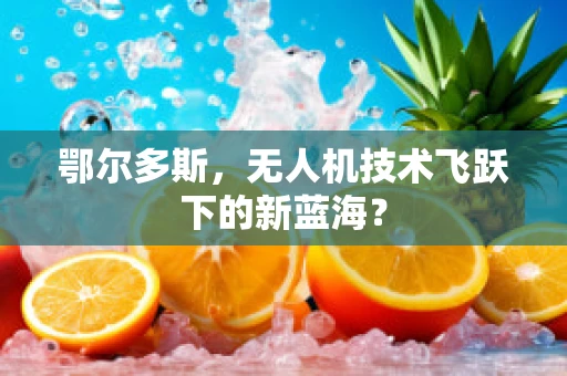 鄂尔多斯，无人机技术飞跃下的新蓝海？