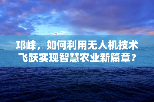 邛崃，如何利用无人机技术飞跃实现智慧农业新篇章？