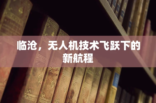 临沧，无人机技术飞跃下的新航程