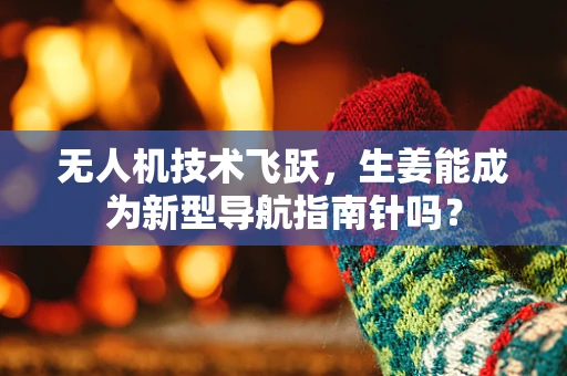 无人机技术飞跃，生姜能成为新型导航指南针吗？