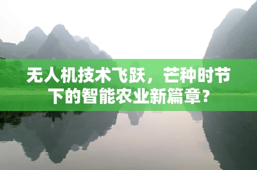 无人机技术飞跃，芒种时节下的智能农业新篇章？