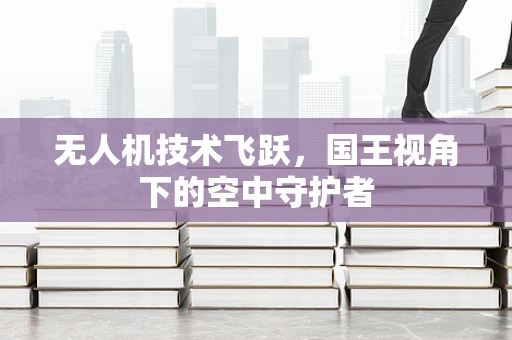 无人机技术飞跃，国王视角下的空中守护者