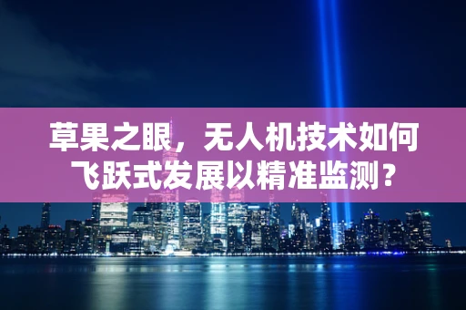 草果之眼，无人机技术如何飞跃式发展以精准监测？