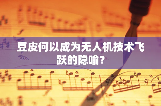 豆皮何以成为无人机技术飞跃的隐喻？