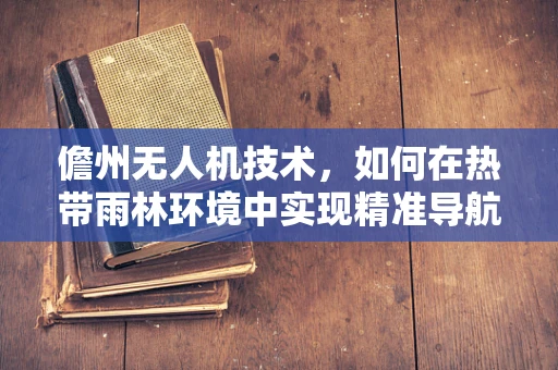 儋州无人机技术，如何在热带雨林环境中实现精准导航与自主避障？