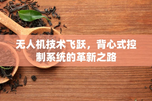 无人机技术飞跃，背心式控制系统的革新之路