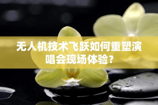 无人机技术飞跃如何重塑演唱会现场体验？