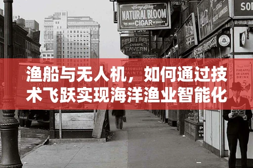 渔船与无人机，如何通过技术飞跃实现海洋渔业智能化管理？
